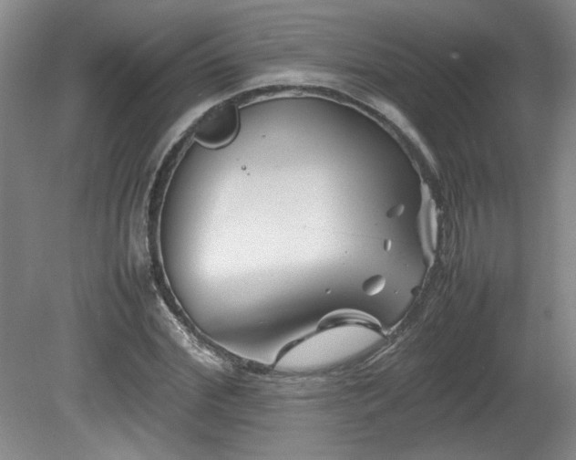 X0000082170972200701191303