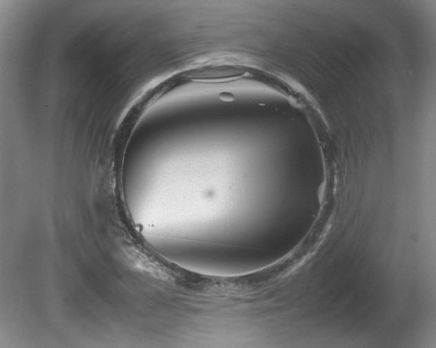 X0000082170973200701191303