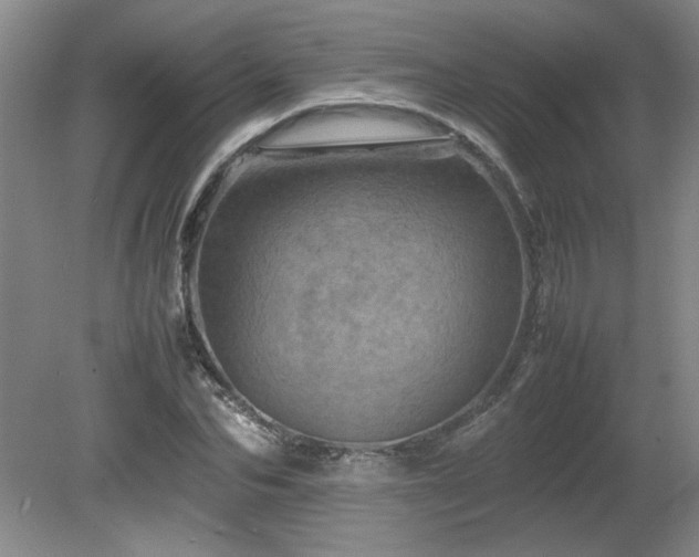 X0000082170974200701191303