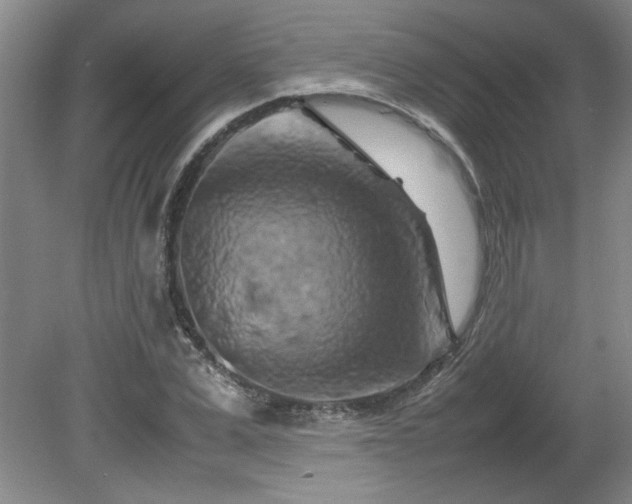 X0000082170975200701191303