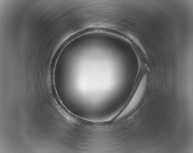 X0000082170976200701191303