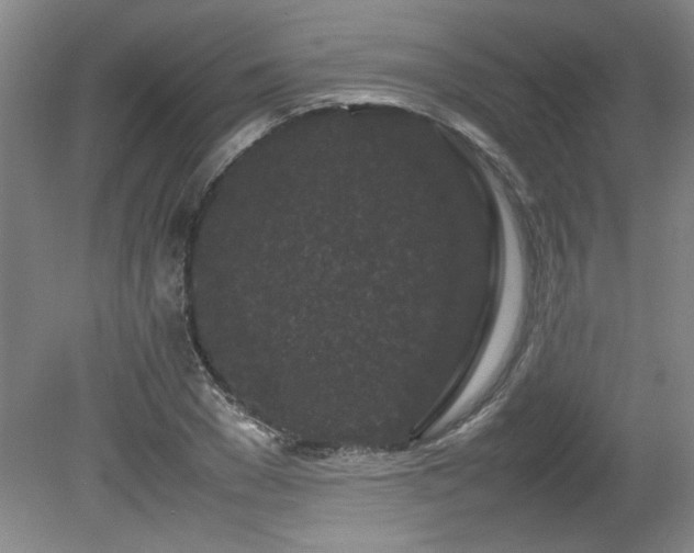 X0000082170977200701191303