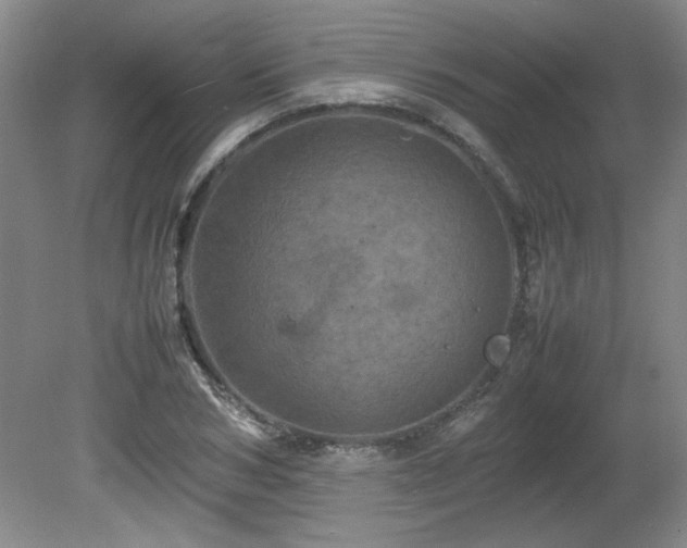 X0000082170978200701191303