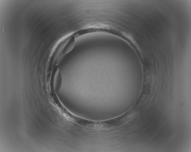 X0000082170979200701191303