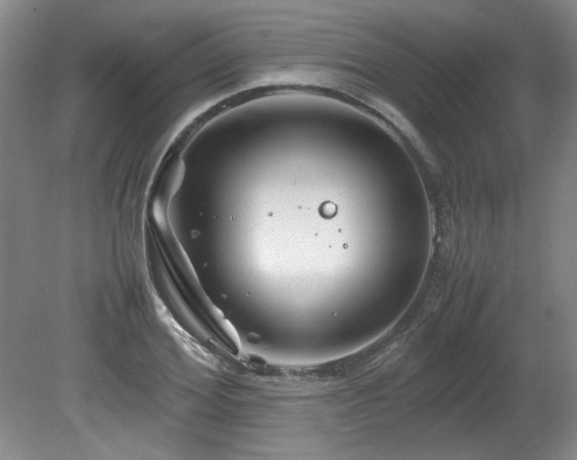 X0000082170980200701191303