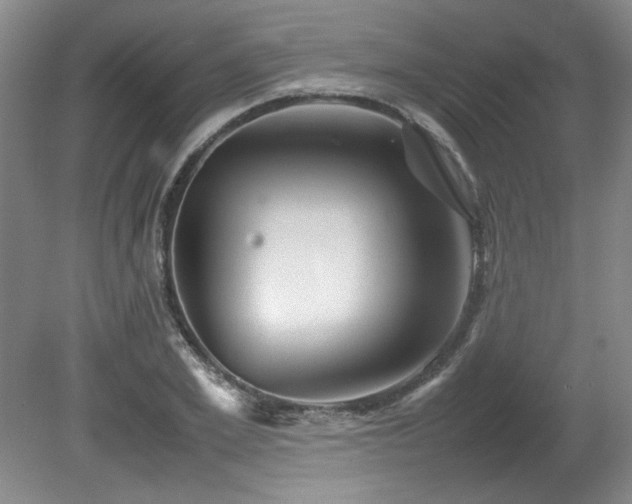 X0000082170981200701191303