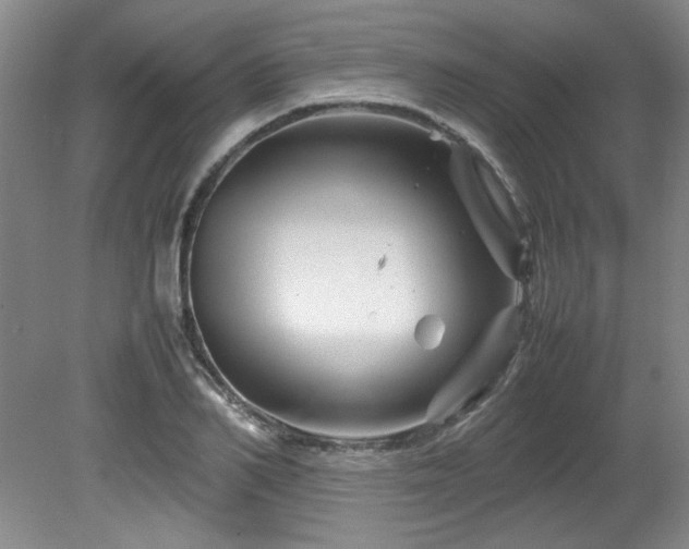 X0000082170982200701191303