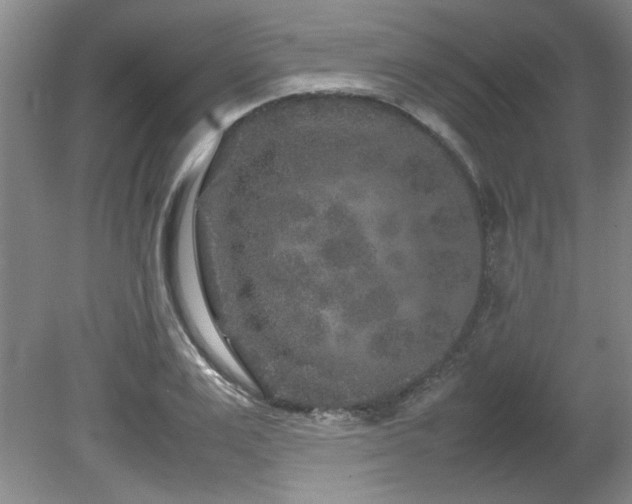 X0000082170983200701191303