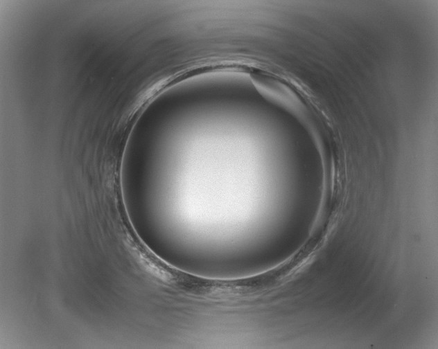 X0000082170985200701191303