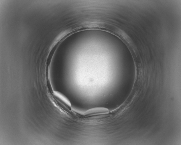 X0000082170986200701191303