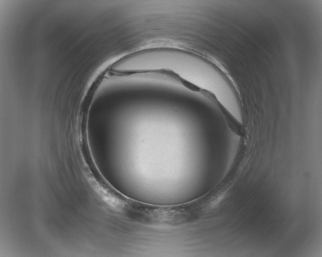 X0000082170987200701191303