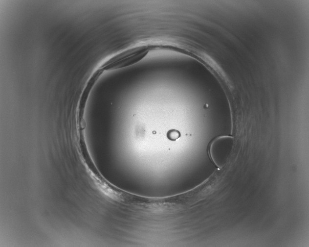 X0000082170988200701191303