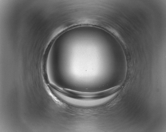 X0000082170991200701191303