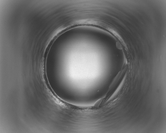 X0000082170992200701191303