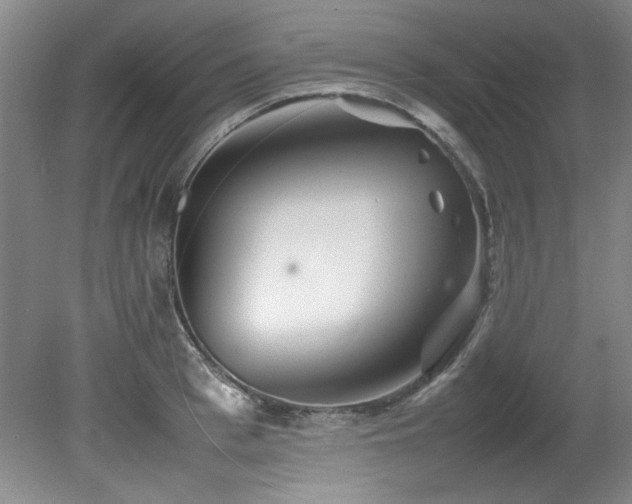 X0000082170993200701191303