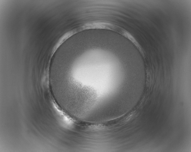 X0000082170994200701191303