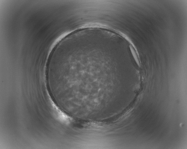 X0000082170995200701191303