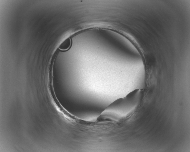 X0000082170999200701191303