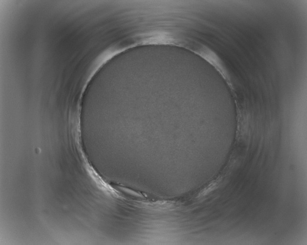 X0000082171000200701191303