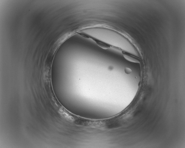 X0000082171001200701191303