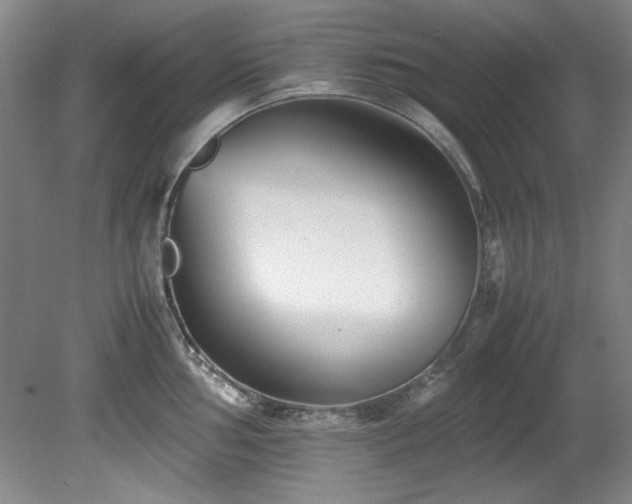 X0000082171002200701191302