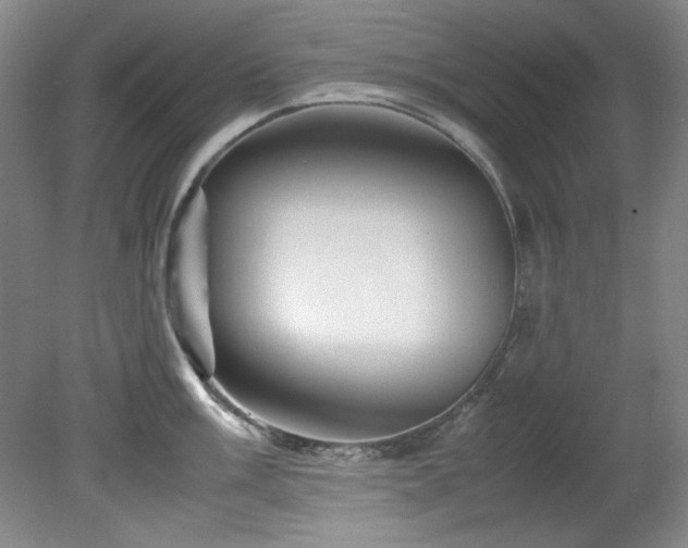 X0000082171003200701191302