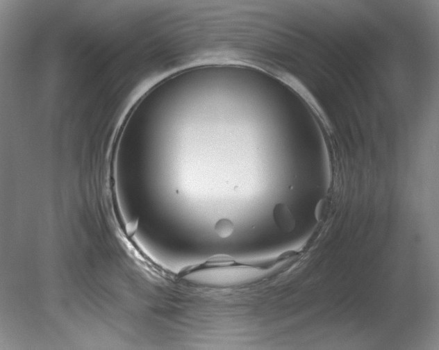 X0000082171004200701191302