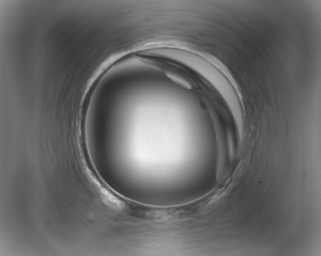 X0000082171005200701191302