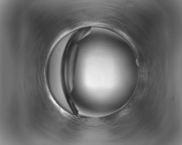 X0000082171007200701191302