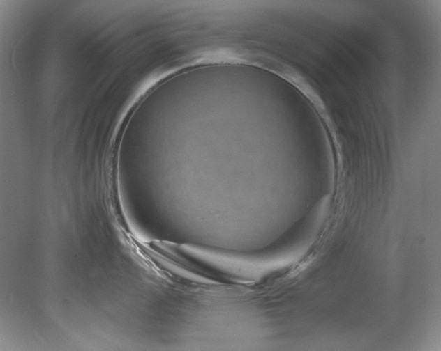 X0000082171008200701191302