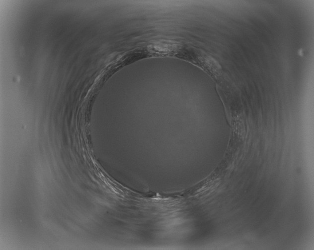 X0000082171009200701191302