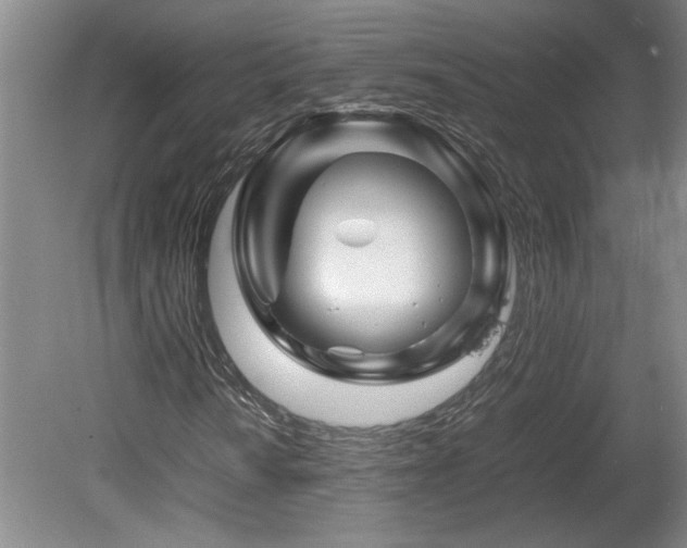 X0000082171010200701191302