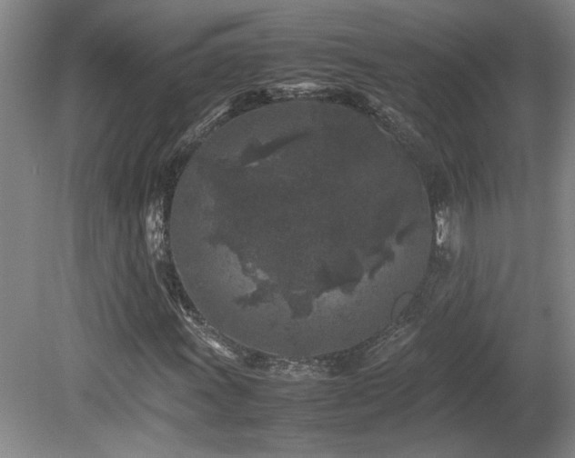 X0000082171011200701191302