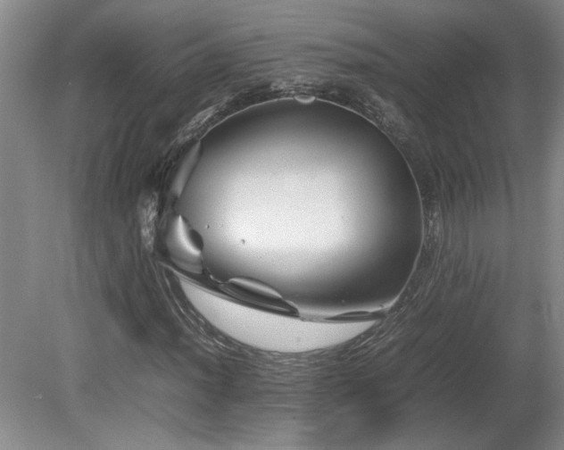 X0000082171012200701191302