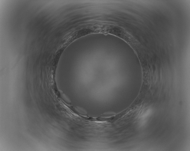 X0000082171013200701191302