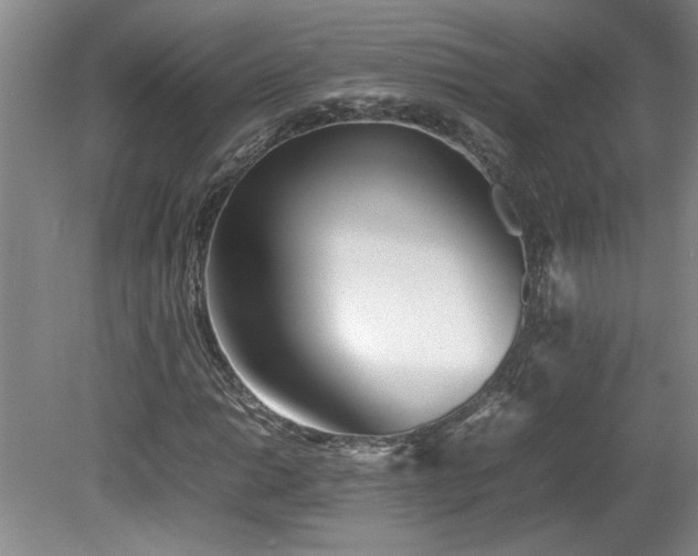 X0000082171014200701191302