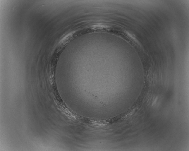 X0000082171015200701191302