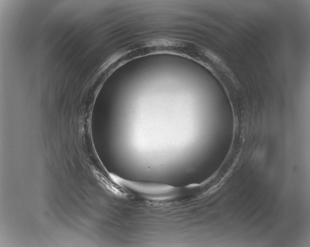 X0000082171017200701191302