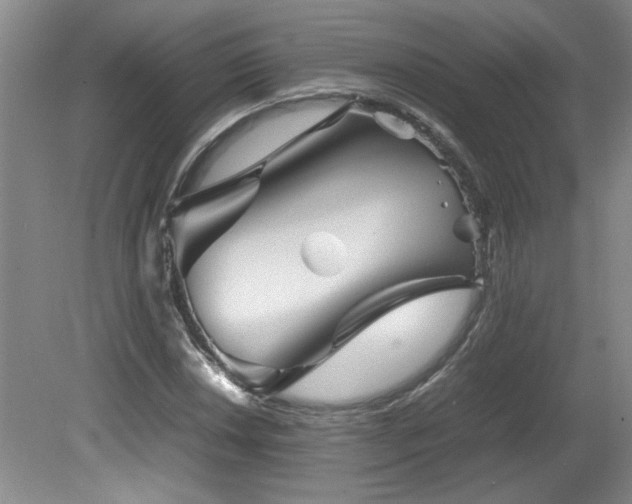 X0000082171018200701191302