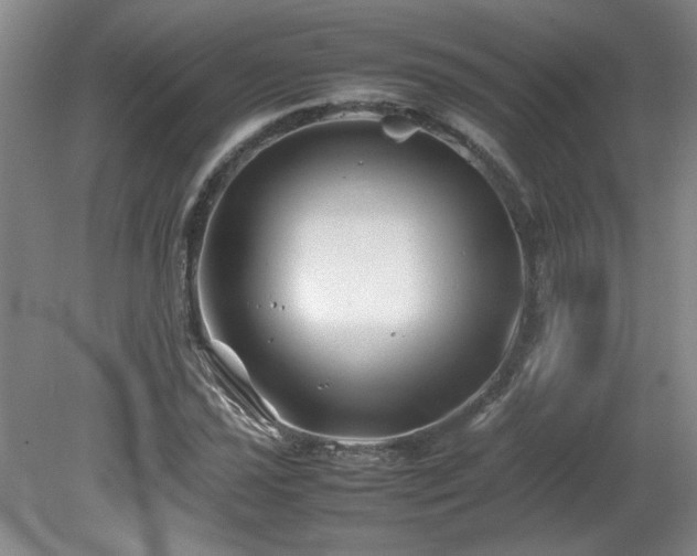 X0000082171021200701191302