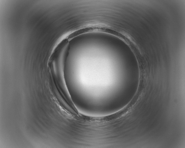 X0000082171022200701191302