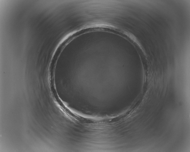 X0000082171024200701191302