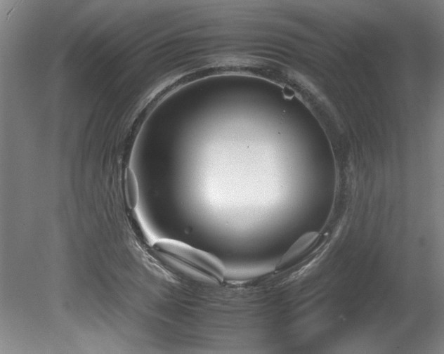 X0000082171025200701191302