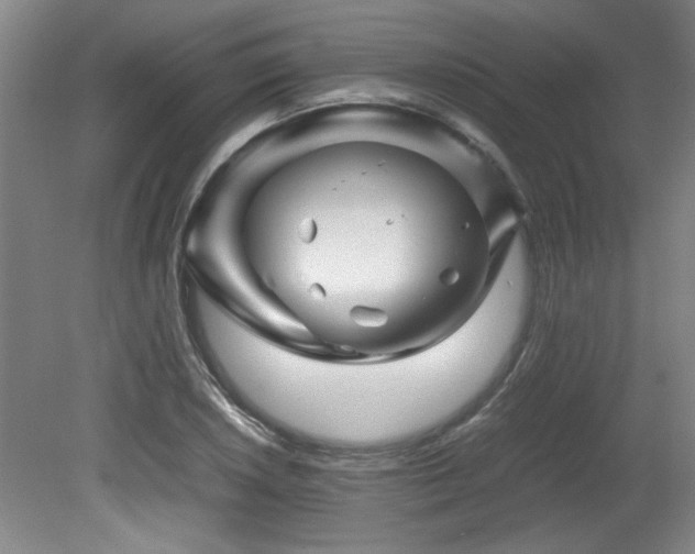 X0000082171026200701191302