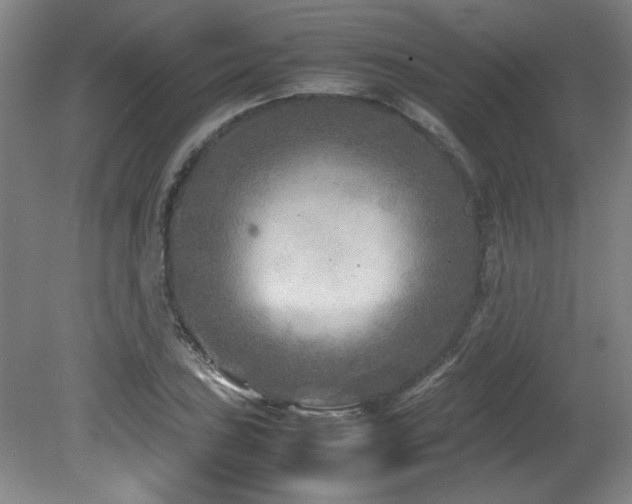 X0000082171027200701191302