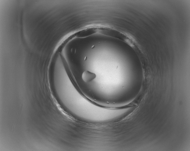 X0000082171030200701191302