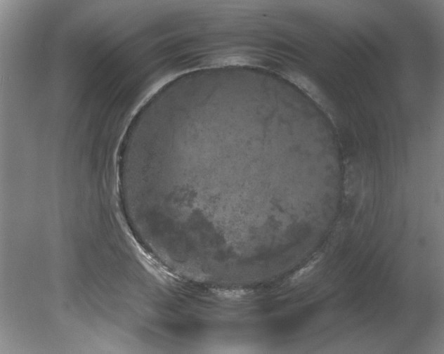 X0000082171031200701191302