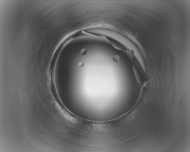 X0000082171032200701191302