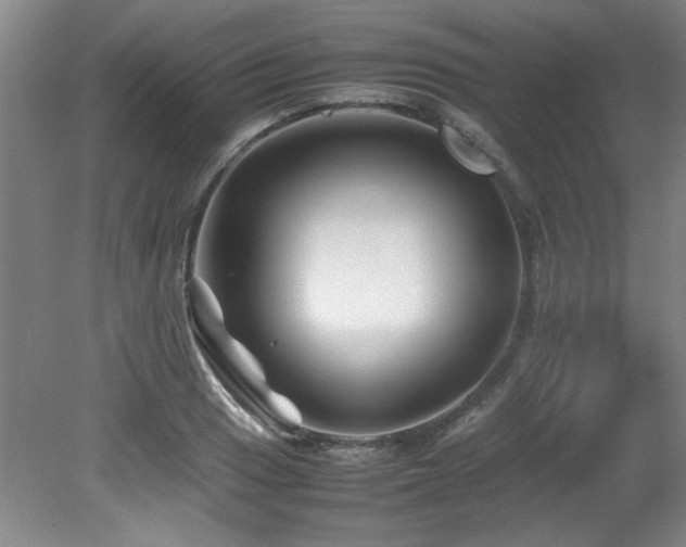 X0000082171033200701191302