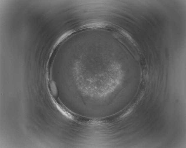 X0000082171034200701191302